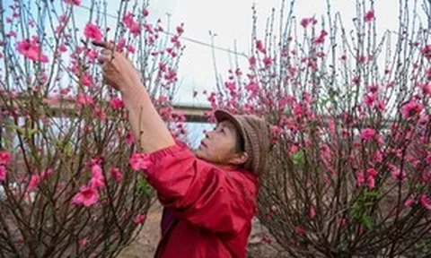 Thủ tướng đồng ý phương án nghỉ Tết Bính Ngọ 9 ngày liên tục