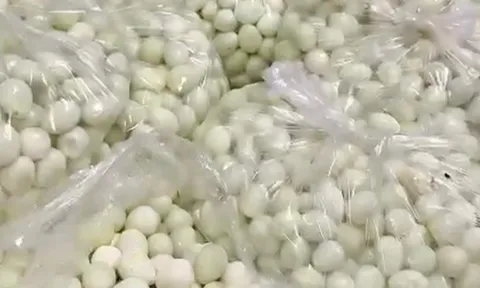 Phụ huynh Hà Nội phát hiện thịt, trứng cút bốc mùi tuồn vào trường học
