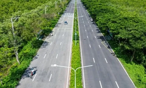 TP.HCM lập Hội đồng thẩm định dự án metro hơn 4 tỷ USD đi Cần Giờ
