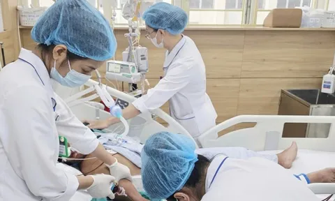 Bị rắn hổ mang cắn, nam bệnh nhân 34 tuổi tử vong vì bỏ qua ‘giờ vàng’ cấp cứu