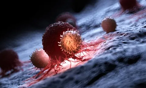 Đột phá: Dùng gene virus lồng trong vi khuẩn tiêu diệt ung thư