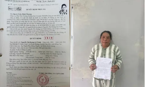 Bắt Nguyễn Hoàng Lệ Trinh