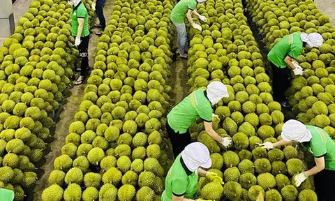 Trung Quốc ra quy định mới về nhập khẩu nông sản