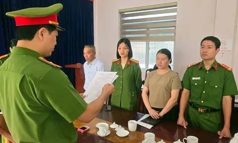 Bắt tạm giam, khám xét nơi ở của nữ công chức Đinh Thị Diệu Hoa