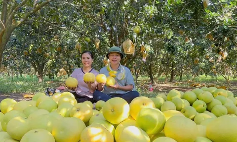 'Đệ nhất danh quả' Hà Tĩnh được chọn trong tiệc cưới Đỗ Thị Hà