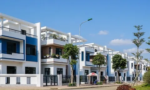 Tòa Phúc thẩm giữ nguyên bản án vụ 500 biệt thự xây dựng trái phép tại Đồng Nai