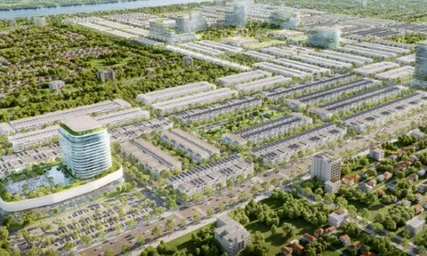 Xây dựng Ngân Thuận nợ gần 635 tỷ đồng tiền thuế, ông chủ đứng sau là ai?