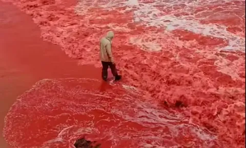 Sau trận mưa kỳ lạ, bãi biển bất ngờ nhuộm đỏ như máu, cơ quan lữ hành nói: Liên quan tới tên gọi nơi này