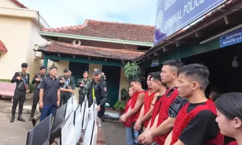 Bắt 'bà trùm' tên Vi sinh năm 1999, cầm đầu đường dây lừa đảo 8.000 người Việt Nam