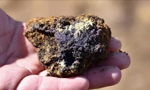 Khoan liên tiếp 310 địa điểm, phát hiện kho báu 694 triệu tấn la liệt dưới lòng thành phố, nền kinh tế 1.300 tỷ USD lập tức khiến cả thế giới để mắt