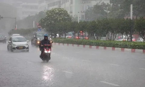 Tin gió mùa Đông Bắc mới nhất: Từ mai, nhiều nơi mưa to đến rất to