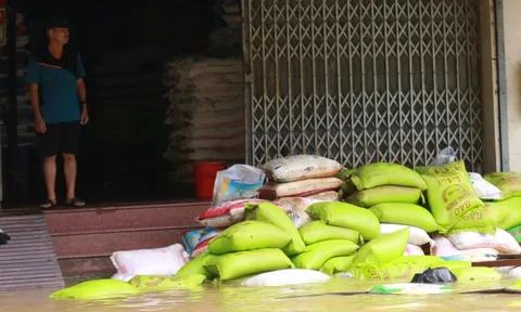 Hộ kinh doanh ở Huế thẫn thờ nhìn hàng hóa thiệt hại sau lũ