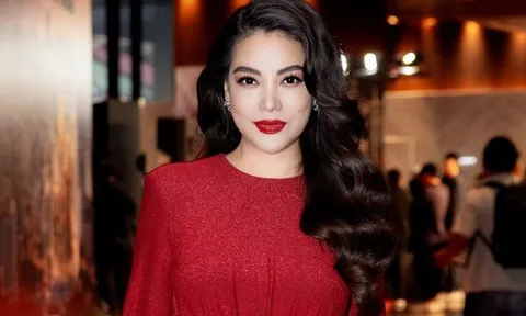 Vụ Trương Ngọc Ánh bị bắt: Doanh nghiệp do nữ diễn viên từng làm Chủ tịch chỉ có 3 lao động nhưng nhận góp vốn 9,1 triệu USD từ nhà đầu tư nước ngoài