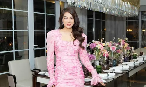 Trước khi bị bắt, diễn viên Trương Ngọc Ánh từng phải bán tài sản để trả nợ