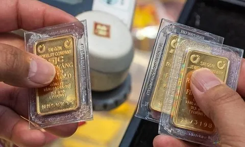 Sáng 3/11: Giá vàng SJC và vàng nhẫn tiếp tục giảm mạnh, nhà đầu tư lỗ nặng tới 6,8 triệu đồng/lượng sau một tuần