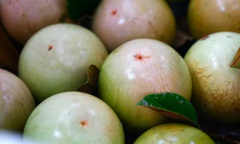 Loại quả “nông dân cứ trồng là có tiền” của Việt Nam được Mỹ cấp phép nhập khẩu lần đầu tiên