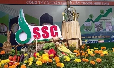 Tòa án TP.HCM tuyên bố phá sản công ty con của một công ty trên sàn chứng khoán