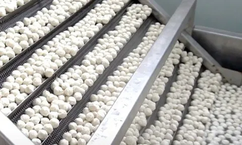 Một mặt hàng ‘ngon bổ rẻ’ của Việt Nam đang đắt hàng từ Á đến Âu: Vừa thu về hơn 200 triệu USD, Thái Lan, Hàn Quốc đua nhau săn lùng