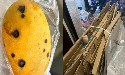 6 lối tiết kiệm mù quáng: Dẫn lối ung thư, đào hố chôn mình