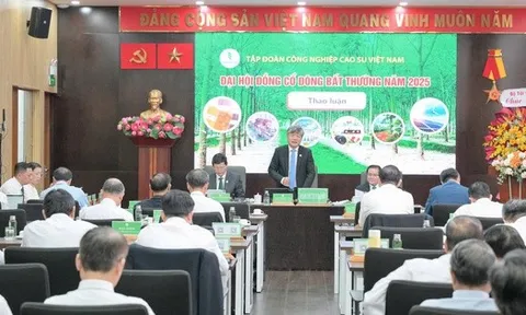 VRG chuẩn bị 1.600 tỉ đồng chia cổ tức