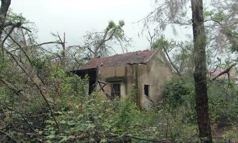 Hoang tàn “thiên đường” bên bãi biển nổi tiếng Hà Tĩnh