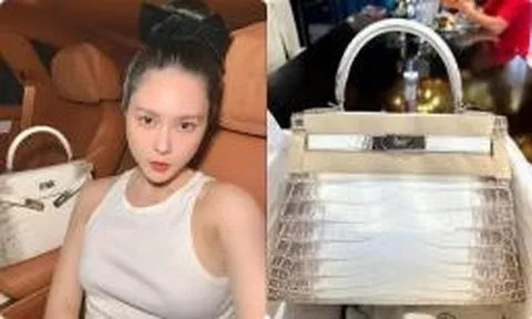 Chiếc túi hơn 2 tỷ 'có tiền cũng không mua được' của Đoàn Di Băng