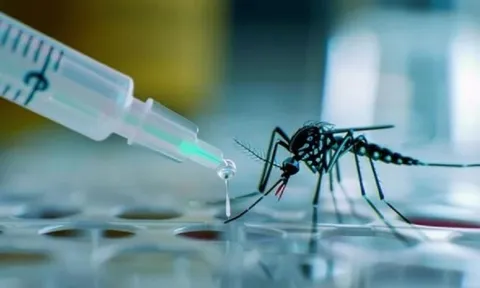 Thử nghiệm vắc xin phòng sốt xuất huyết mới, kỳ vọng chặn đứng dịch bệnh