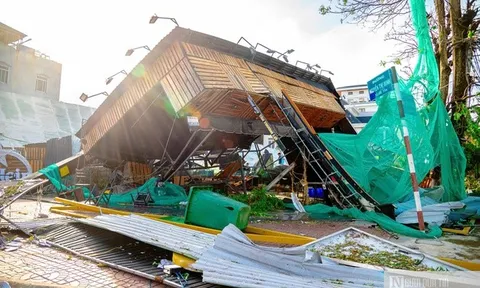 Doanh nghiệp Gia Lai thiệt hại hàng tỷ đồng sau bão số 13, chủ nhà hàng nghẹn ngào “không biết nên bắt đầu từ đâu”