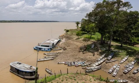 Không phải vàng hay dầu, nền kinh tế trên 200 triệu dân săn lùng ‘kho báu’ trải dài 400 km sâu dưới rừng nhằm dắt lưng 'vũ khí' giữa thương chiến, Trung Quốc ngỏ ý tham gia