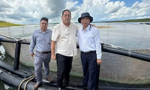 Sau hơn 10 năm, một loài cá tỷ USD của Việt Nam tạo nên kỳ tích tại Cuba: Tiềm năng rất lớn