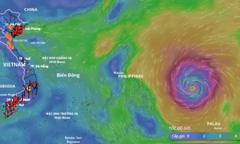 Bão Phượng Hoàng tăng cấp dữ dội, đã mạnh lên cấp cuồng phong, có đổ bộ vào đất liền nước ta?