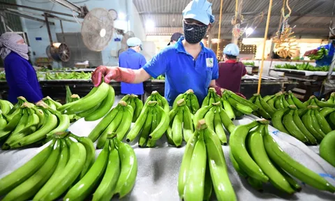 Hướng tới tương lai xanh, thịnh vượng