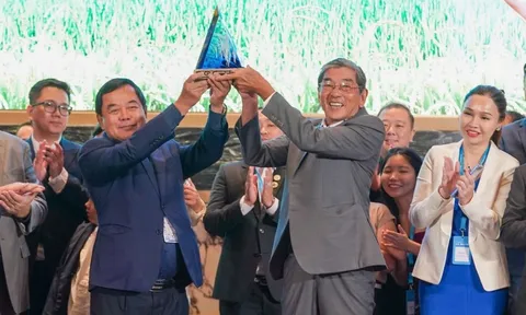 Gạo ST25 tiếp tục đạt giải nhất cuộc thi Gạo ngon nhất thế giới năm 2025