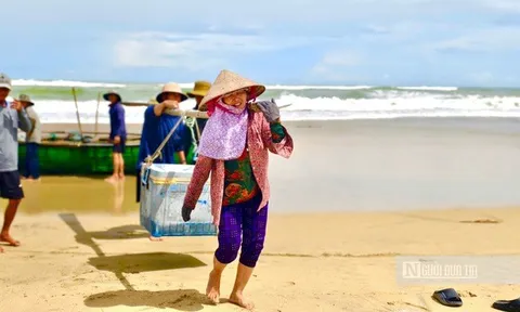 Ngư dân Quảng Ngãi vượt sóng dữ săn "lộc biển" mùa biển động