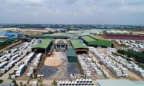 Một công ty báo lãi quý 3 tăng 235%, thưởng cổ phiếu tỷ lệ 100%