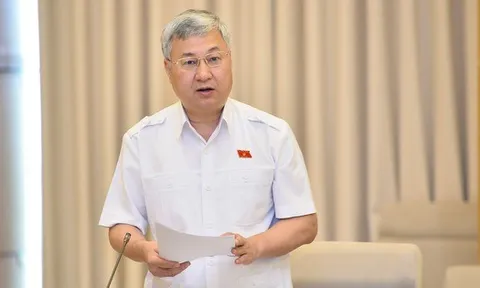 Đại biểu Quốc hội: Áp thuế 1-5% trên doanh thu là 'hết cả lãi' của người kinh doanh nhỏ lẻ