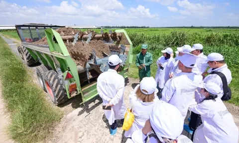 Mở khóa tự nhiên bên trong "resort bò sữa" của Vinamilk: Robot phục vụ thức ăn, phát nhạc cho bò, biến phân bò thành phân bón hữu cơ, biogas thanh trùng sữa cho bê
