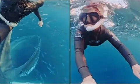 "Thủy quái" khổng lồ bất ngờ lao đến dưới biển sâu: Thợ lặn suýt bị nuốt chửng trong tích tắc