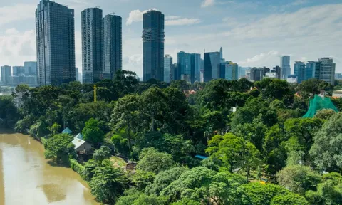 Hành trình từ nợ thuế hơn 800 tỷ đến có lãi của doanh nghiệp sở hữu 17 ha đất vàng giữa phường Sài Gòn