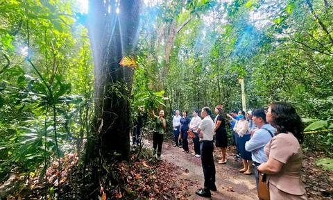 Khai mở tiềm năng để Hồ Tràm vươn tầm quốc tế