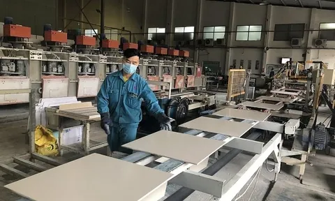 Viglacera sáp nhập 3 công ty trên sàn, 2 mã cổ phiếu sẽ bị hủy