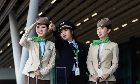 Ông Bùi Quang Dũng ngồi 'ghế nóng' chủ tịch Bamboo Airways