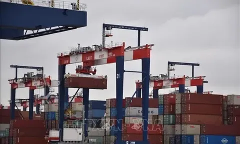 Các hãng xe Nhật Bản lỗ gần 10 tỷ USD vì thuế quan Mỹ