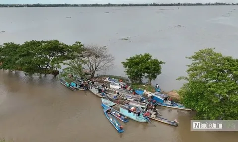 Lênh đênh cùng "lộc trời" mùa nước nổi