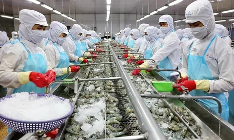 Không được nghỉ cuối tuần, doanh nghiệp thuỷ sản chật vật tuyển lao động