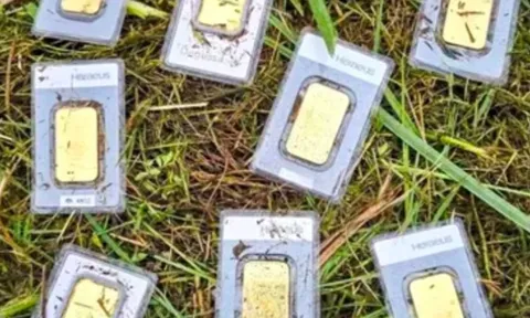 Phát hiện 10 thỏi vàng khi đang cắt cỏ, trị giá lên đến hơn 1 tỷ đồng