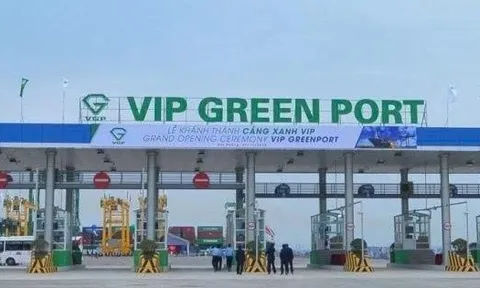 Viconship sắp thu gần 90 tỷ đồng cổ tức từ Cảng Xanh Vip