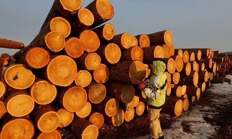 Việt Nam sở hữu 'cây kim tiền' được Mỹ đổ gần 8 tỷ USD chốt đơn: thuế nhập khẩu 10%, Việt Nam là ông trùm đứng thứ 5 thế giới