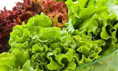 Một phụ nữ 33 tuổi ăn rau diếp mỗi bữa, 3 tháng sau phải nhập viện: Bác sĩ cảnh báo 3 nhóm người nên hạn chế ăn để tránh bệnh nặng