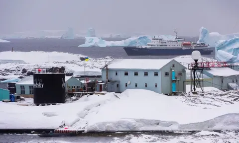 Không cần bất cứ mũi khoan nào, Nga phát hiện gần 70 tỷ tấn 'vàng đen' dưới nước